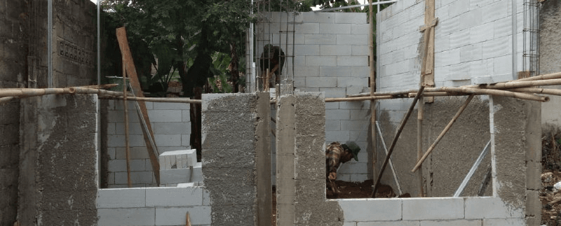 Pembangunan Micropolis IV