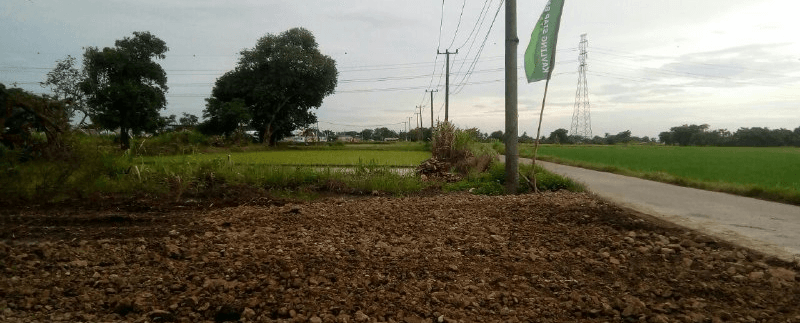 Progress Nuansa Alam Rajeg