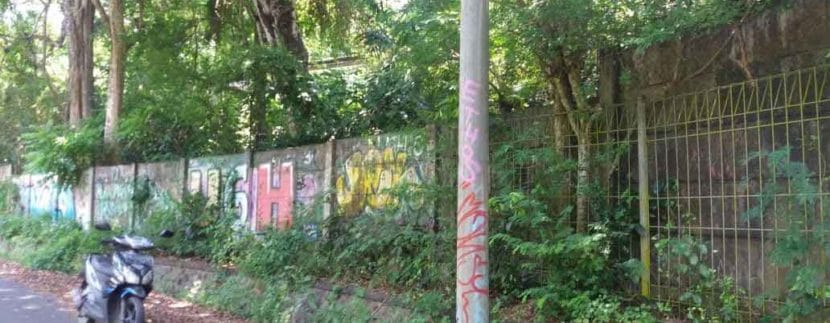 Tanah-tepi-Green-Bowl-2