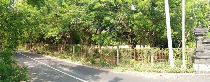 Tanah-tepi-Green-Bowl-3