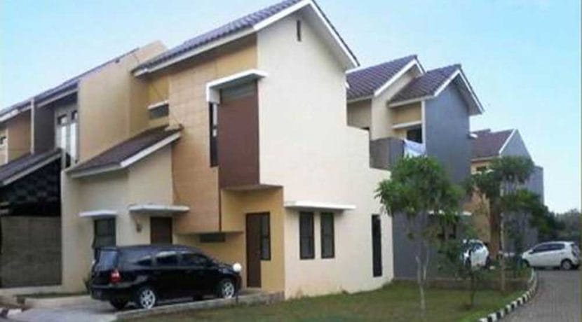 D'Golden-Cinere