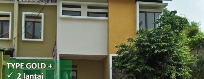 Type Gold D'Golden-Cinere