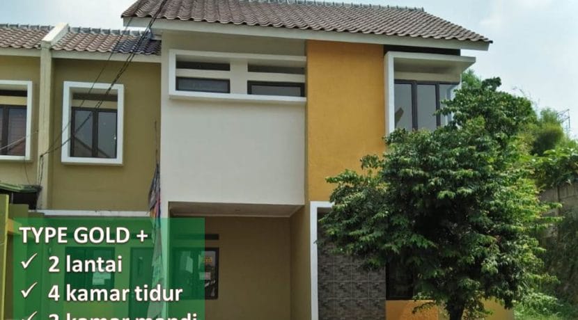 Type Gold D'Golden-Cinere