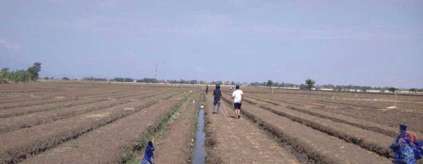 Kavling-Siap-Bangun-Sukawana-Villa's