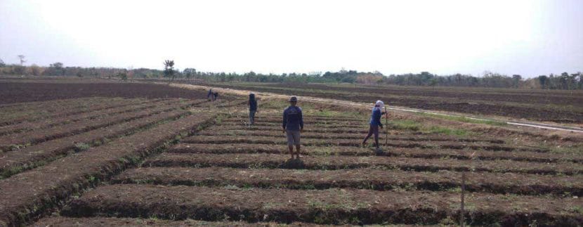 Kavling-Siap-Bangun-Sukawana-Villa's_1