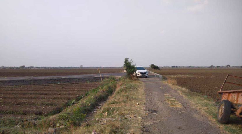 Kavling-Siap-Bangun-Sukawana-Villa's_b