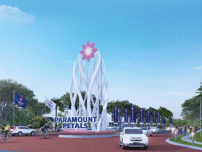 Cluster Aster di Paramount Petals