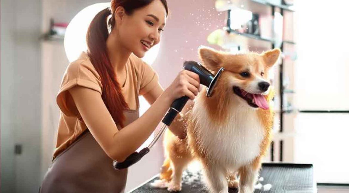 apartemen pet friendly