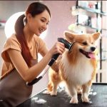 apartemen pet friendly