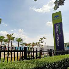 Sutera Nexen