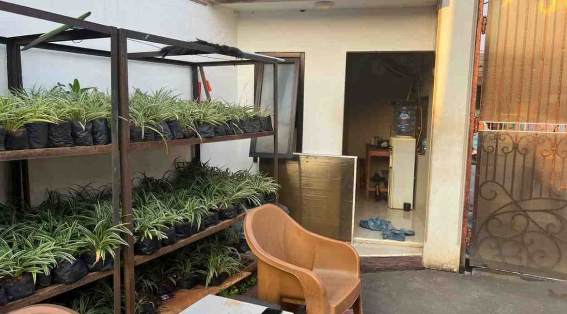 WhatsAppImage2025-11-11at14.47.18