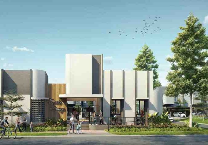 bayleaf suvarna sutera