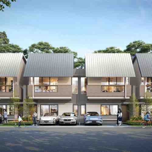 bayleaf suvarna sutera