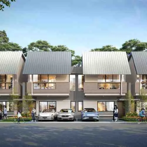 bayleaf suvarna sutera