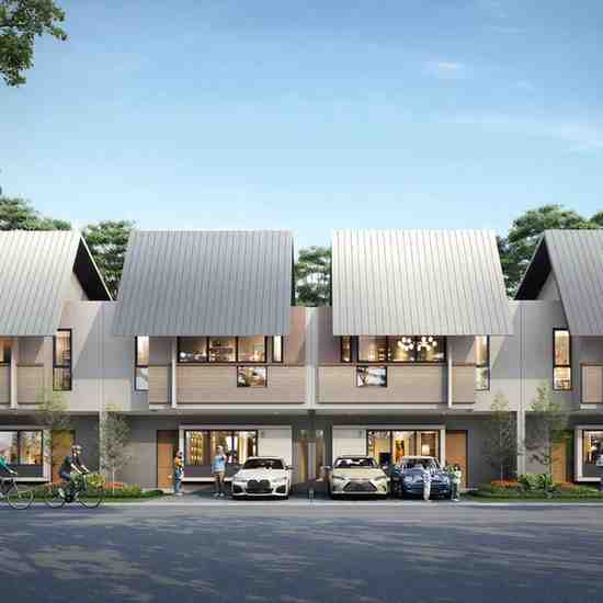 bayleaf suvarna sutera